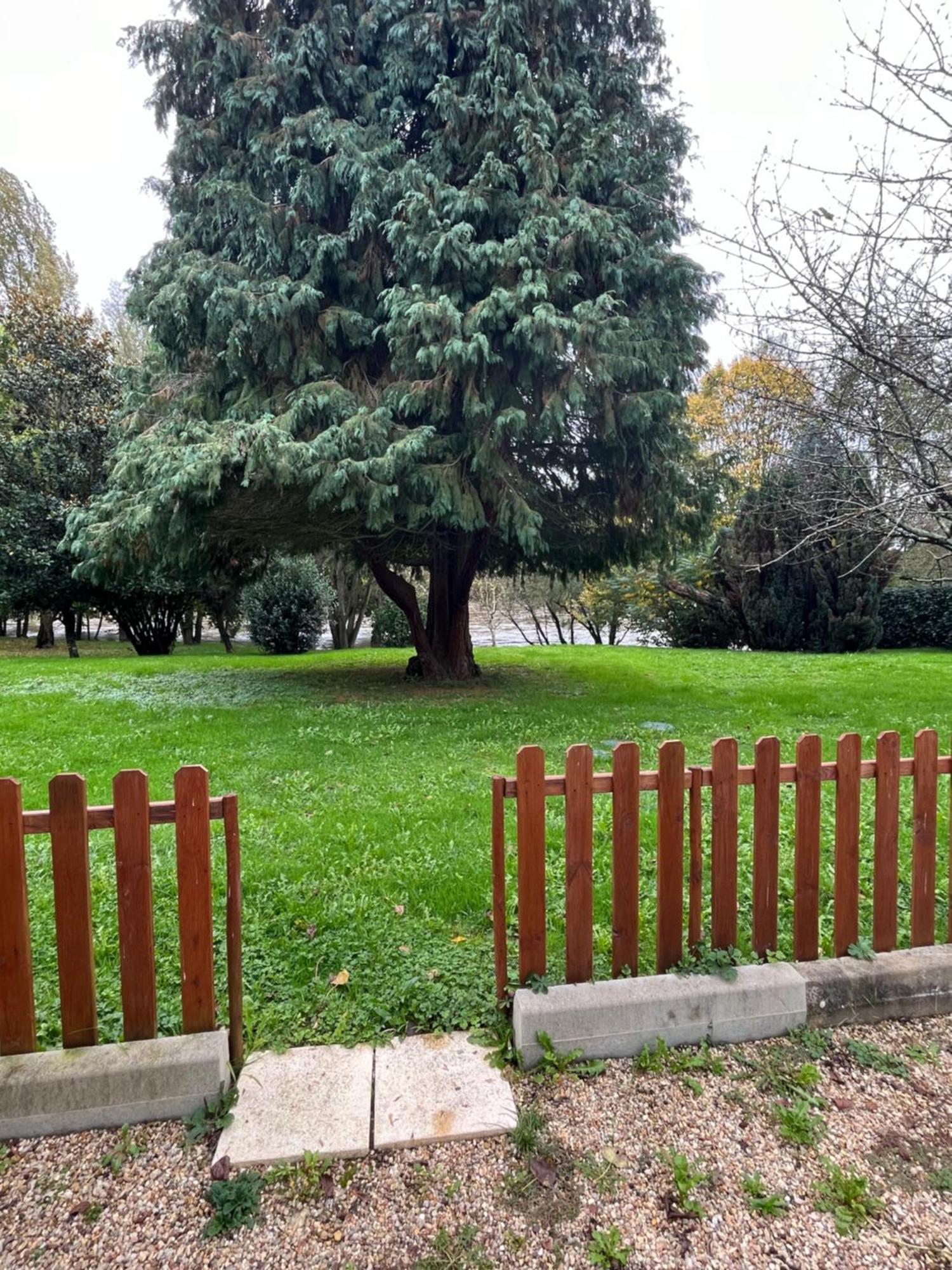 Logement Paisible En Bord De Vienne Bonneuil-Matours Zewnętrze zdjęcie